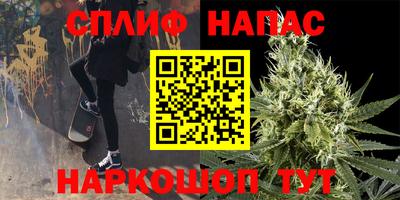 стаф Пенза