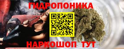 стаф Пенза