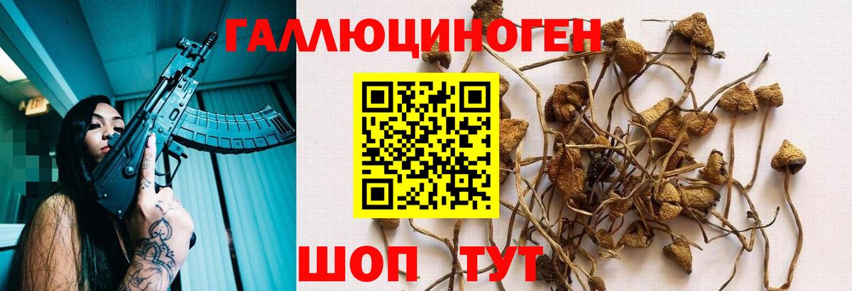 Уссурийск  Галлюциногенные грибы GOLDEN TEACHER  купить  цена  Вход с VPN 