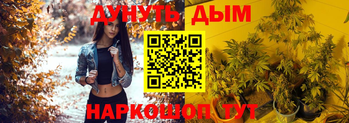 Марихуана индика  Вход с VPN  Марихуана Amnesia  МАРИХУАНА SATIVA & INDICA  Уссурийск  Бошки марихуана план 